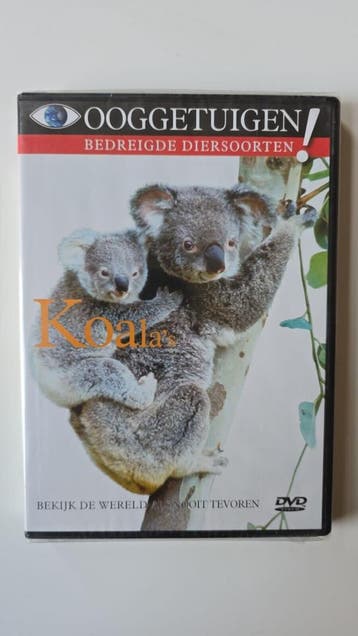 OOGGETUIGEN KOALAS (IN SEAL) (DVD), Verzenden, Gebruikt