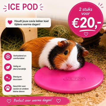 De ZOMER shop voor alle verkoeling voor cavia en konijn, Ophalen of Verzenden, Nieuw, Overige typen