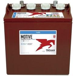 Trojan T-875 Accu Deep Cycle 8V 170Ah 264x181x246x276, Verzenden, Nieuw