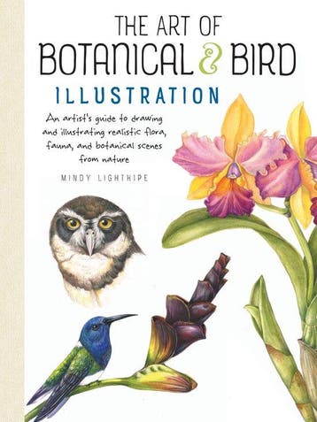 The Art of Botanical & Bird Illustration - Mindy Lighthipe, Boeken, Verzenden, Zo goed als nieuw, Mindy Lighthipe