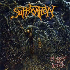 cd - Suffocation - Pierced From Within, Verzenden, Zo goed als nieuw