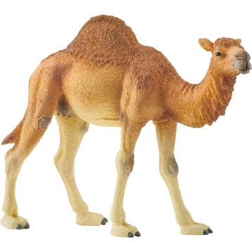 Schleich Safari - Dromedaris speelf van €9,99 voor €6,99, Ophalen of Verzenden, Nieuw