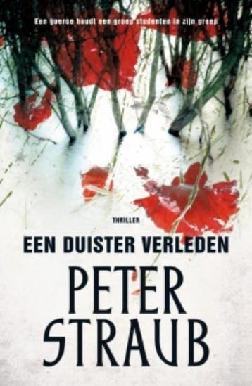 Een duister verleden - Peter Straub 9789024574452, Verzenden, Gelezen, Peter Straub