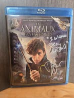 Les Animaux Fantastiques - Dan Fogler - Warner Bros., Nieuw