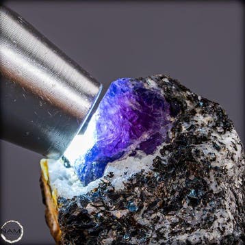 Natuurlijke saffier – Ruwe kristallen op matrix - 628,60 ct-