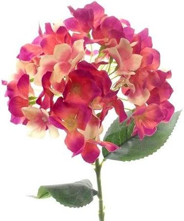 Hortensia Hydrangea Beauty Zijdenbloem Single 45 cm, Ophalen of Verzenden, Nieuw