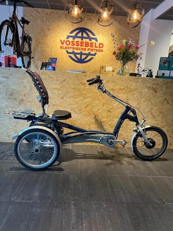Van Raam Easyrider met elektro, Ophalen of Verzenden, Gebruikt, Van Raam