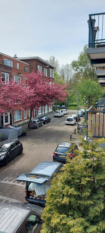 Appartement aan Cleyburchstraat, Rotterdam, Rotterdam