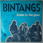 Bintangs - Snake in the grass - Single, Cd's en Dvd's, Verzenden, Nieuw in verpakking