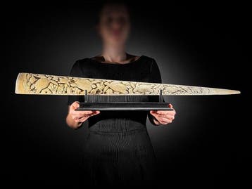 Geen reserveprijs - Prachtig zwaardvisrostrum bevestigd op, Antiek en Kunst