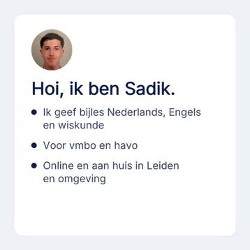 Bijles Nederlands en Engels voor vmbo en havo in Leiden, Privéles, Bijles