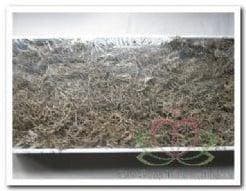Tillandsia Junglemos Spaansmos Forestmos Wit 200–350 gram, Ophalen of Verzenden, Nieuw