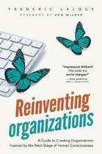 Reinventing Organizations 9782960133509 Frederic Laloux, Verzenden, Gelezen, Frederic Laloux