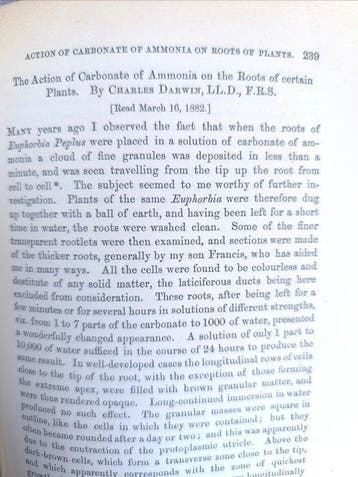 Journal of the Linnean Society - Articles by Charles and, Antiek en Kunst