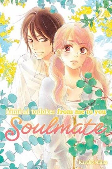 Kimi ni Todoke: From Me to You: Soulmate, Vol. 2 |, Ophalen of Verzenden, Zo goed als nieuw, Karuho Shiina