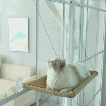 Hangmat voor Katten: Zonovergoten Raamzitje met Sterke Draag, Verzenden, Nieuw