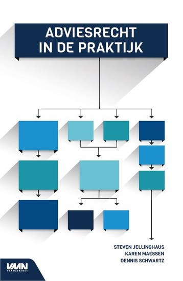 Adviesrecht In De Praktijk | Nieuw, Ophalen of Verzenden, Nieuw, Steven Jellinghaus; Karen Maessen; Dennis Schwartz