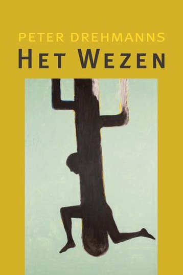 Het wezen - Peter Drehmanns 9789493214064, Verzenden, Gelezen, Peter Drehmanns