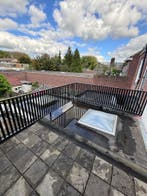 Stalen balustrades op maat, Ophalen of Verzenden, Nieuw