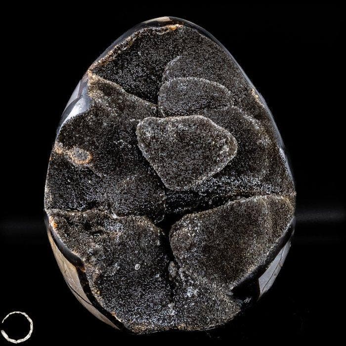 Zeer decoratieve septarian Druse, met calcietkristallen-, Verzamelen, Mineralen en Fossielen