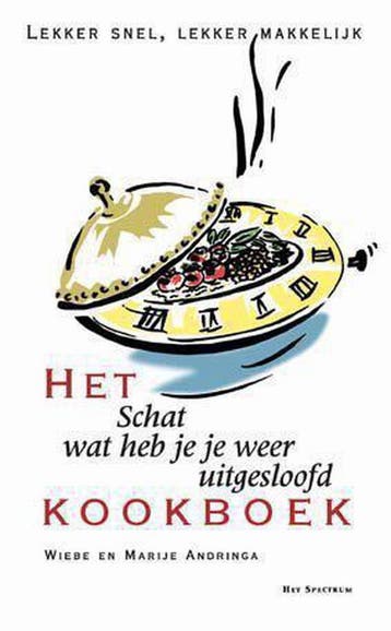 Het Schat, wat heb je je weer uitgesloofd kookboek, Boeken, Verzenden, Zo goed als nieuw, Wiebe Andringa