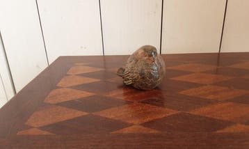 P. Chenet - Beeld, Vogel - 5 cm - Brons