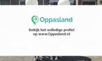 Denise zoekt een oppas in Helmond voor 2 kinderen., Vacatures