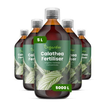 Calathea Vloeibare meststof - 5x1 liter, Verzenden, Mest