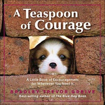Teaspoon of Courage - Bradley Trevor Greive 9780740754722, Verzenden, Zo goed als nieuw, Bradley Trevor Greive