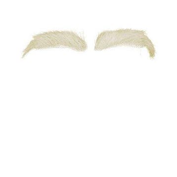 Sint wenkbrauwen buffelhaar (Yak) nieuw, Verzenden, Nieuw, Feestartikel