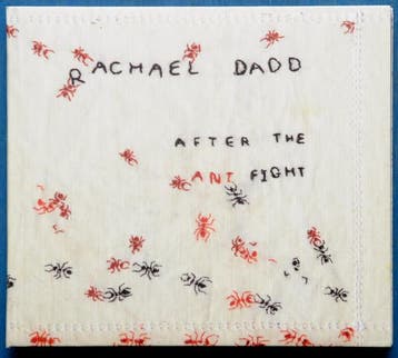 cd - Rachael Dadd - After The Ant Fight, Verzenden, Zo goed als nieuw