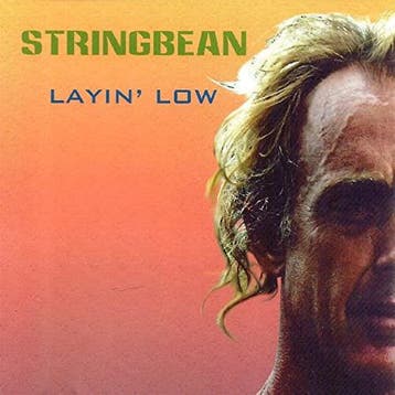 cd - Stringbean And The Stalkers - Layin Low, Cd's en Dvd's, Cd's | Jazz en Blues, Verzenden, Zo goed als nieuw