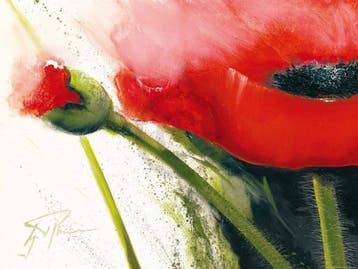 Kunstdruk Gerd Pflumm - Faszination Mohn I 80x60cm, Verzenden, Nieuw