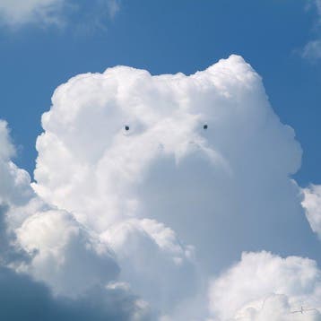 David Law - Magic Clouds - The Hippopotamus