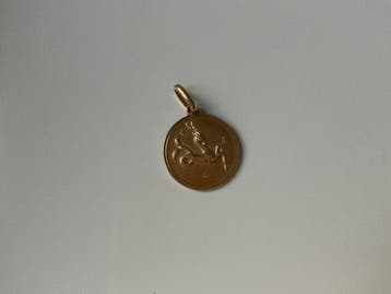 Zonder minimumprijs - Medaillon - 18 karaat Geel goud