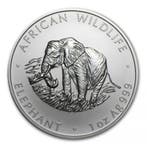 Zambia Olifant 1 oz 2000, Verzenden, Losse munt, Zilver