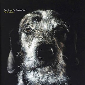 cd - Tiger Saw &amp; The Reason Why - Wet &amp; Unlucky, Verzenden, Zo goed als nieuw