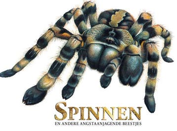 Spinnen en andere angstaanjagende beestjes (Goed), Boeken, Verzenden, Gelezen, Claudia Martin