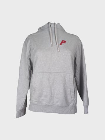 Palace Hoodie Dames maat M Grijs, Kleding | Dames, Maat 38/40 (M), Ophalen of Verzenden, Zo goed als nieuw, Palace