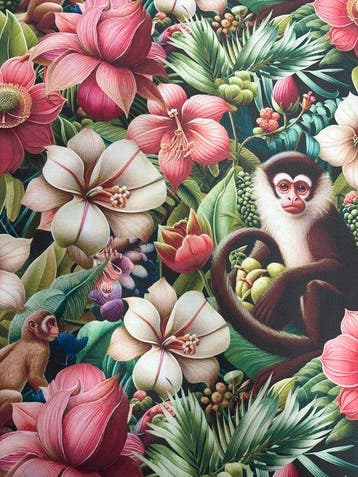 Meubelbekleding en gordijnstoffen Fluffy Monkey Katoen Zacht