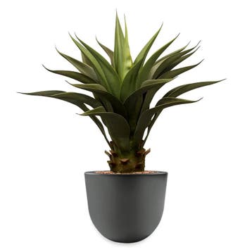 Agave Vetplant kunstplant, H70cm, Ophalen of Verzenden, Overige soorten, Minder dan 100 cm