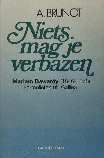Niets mag je verbazen - AmÉDÉE, Verzenden, Gelezen