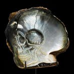 Intricaat gesneden parelmoer schelp - menselijk