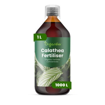 Calathea Vloeibare meststof - 1 liter, Verzenden, Mest