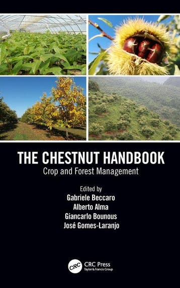 9781138334021 The Chestnut Handbook Alberto Alma, Boeken, Verzenden, Nieuw, Alberto Alma