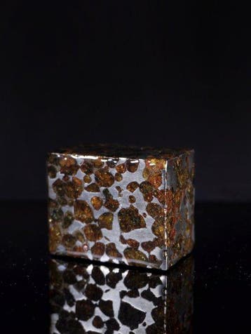 Sericho meteoriet Pallasiet - 264 g - (1)