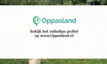 Mala zoekt een oppas in Zwolle voor 2 kinderen op zaterdag., Vacatures