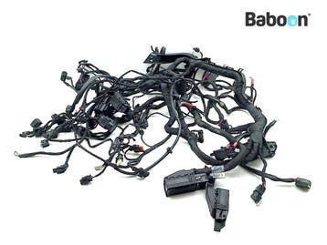 Kabelboom BMW R 1250 RT 2019-2024 (R1250RT K52) (9480229), Verzenden, Gebruikt