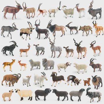 Realistische Boerderij- en Wilde Dierenfiguren: Schapen, Gei