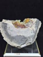 Zeldzame Rainbow pyriet-septaria Exemplaar - Hoogte: 7 cm